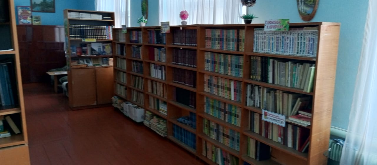 Библиотека